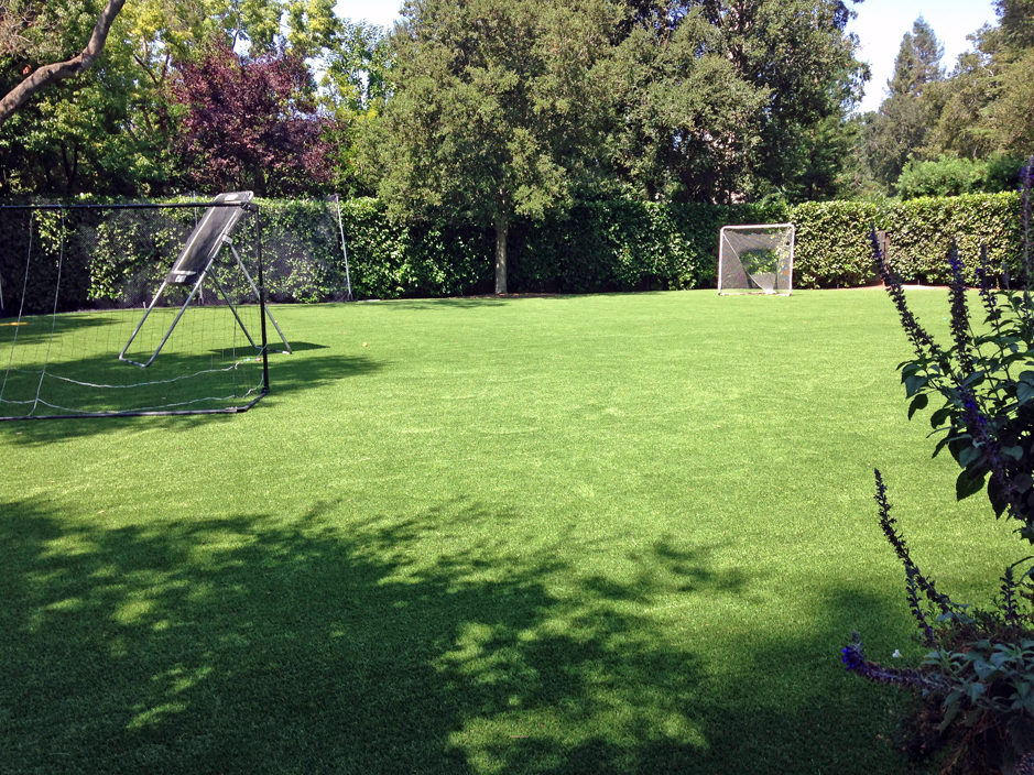 Artificial Lawn Chilton, Wisconsin Lawn And Garden, Backyard Garden Ideas