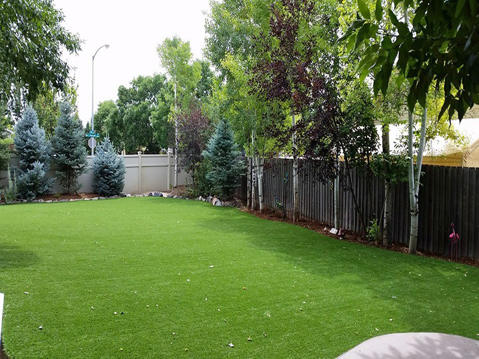 Artificial Turf Cost Evansville, Wisconsin Dog Run, Backyard Landscaping
