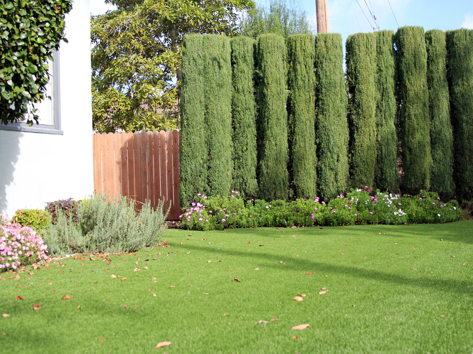 Artificial Turf Edgerton Wisconsin Paver Patio Front Yard Ideas