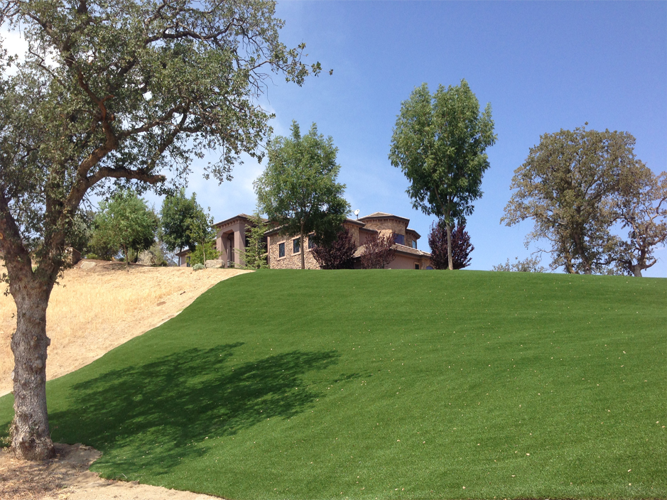 Artificial Turf Fond Du Lac Wisconsin Backyard Deck Ideas Front