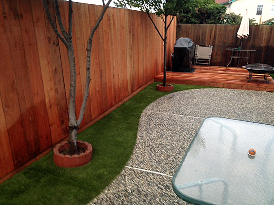 Artificial Turf Installation Eureka, Wisconsin Watch Dogs, Backyard Designs