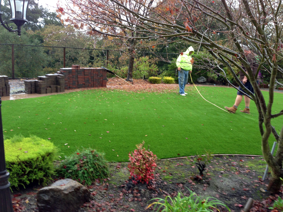 Artificial Turf West Milwaukee, Wisconsin Garden Ideas, Backyard Ideas