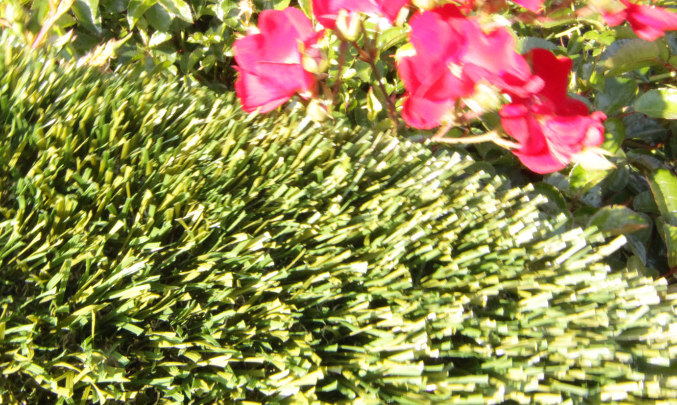 Artificial Grass Double S-72 Artificial Grass Milwaukee Wisconsin