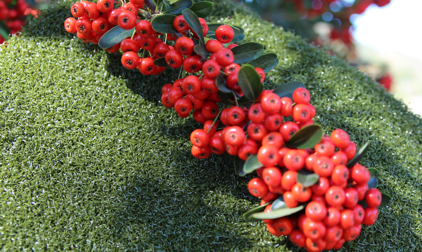 Artificial Grass Nylon Putt-57 Artificial Grass Milwaukee Wisconsin