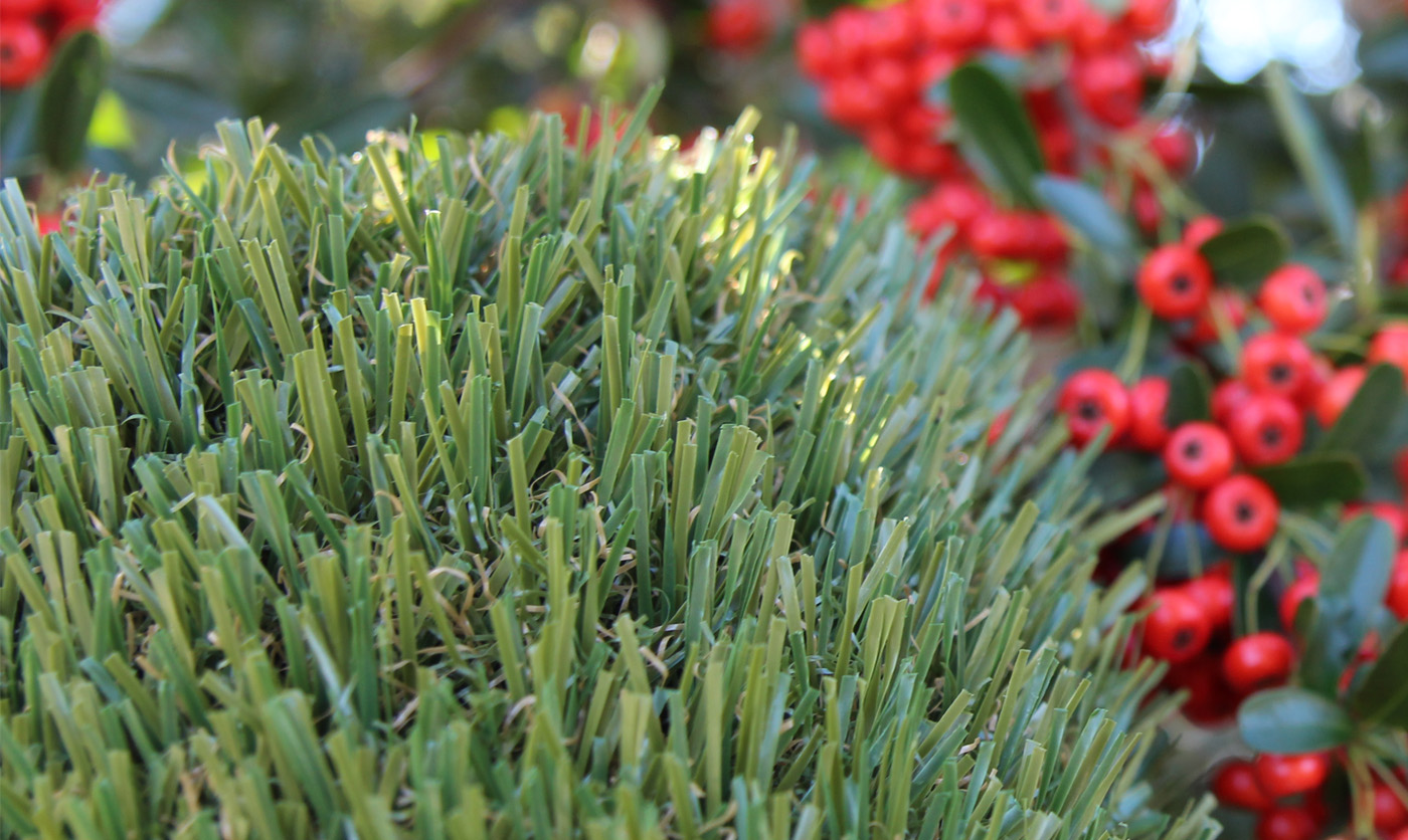 Artificial Grass Patriot Olive-74 Artificial Grass Milwaukee Wisconsin