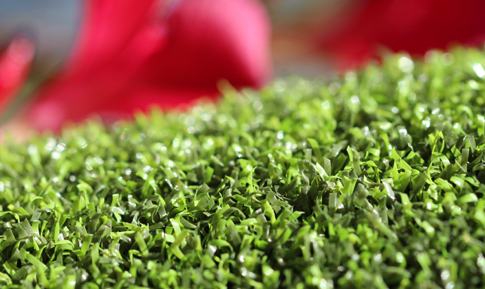 Artificial Grass Pro Putt-44 Artificial Grass Milwaukee Wisconsin