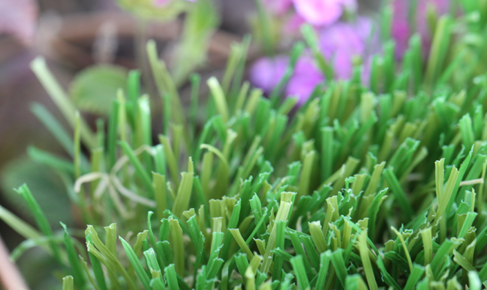 Artificial Grass W Blade-60 Artificial Grass Milwaukee Wisconsin