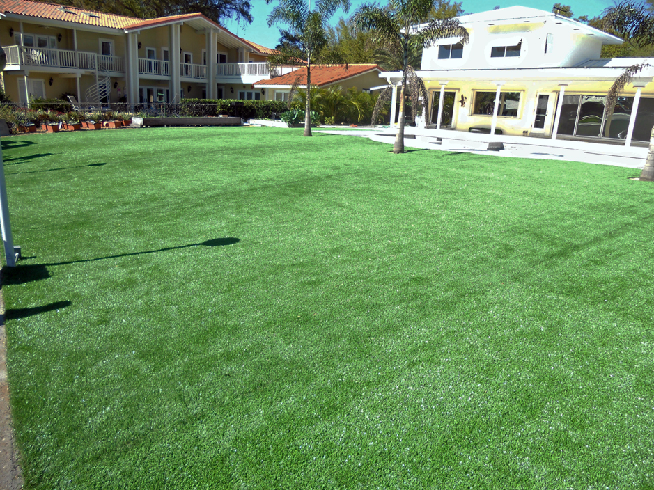 Best Artificial Grass Neenah, Wisconsin Landscape Ideas, Pool Designs