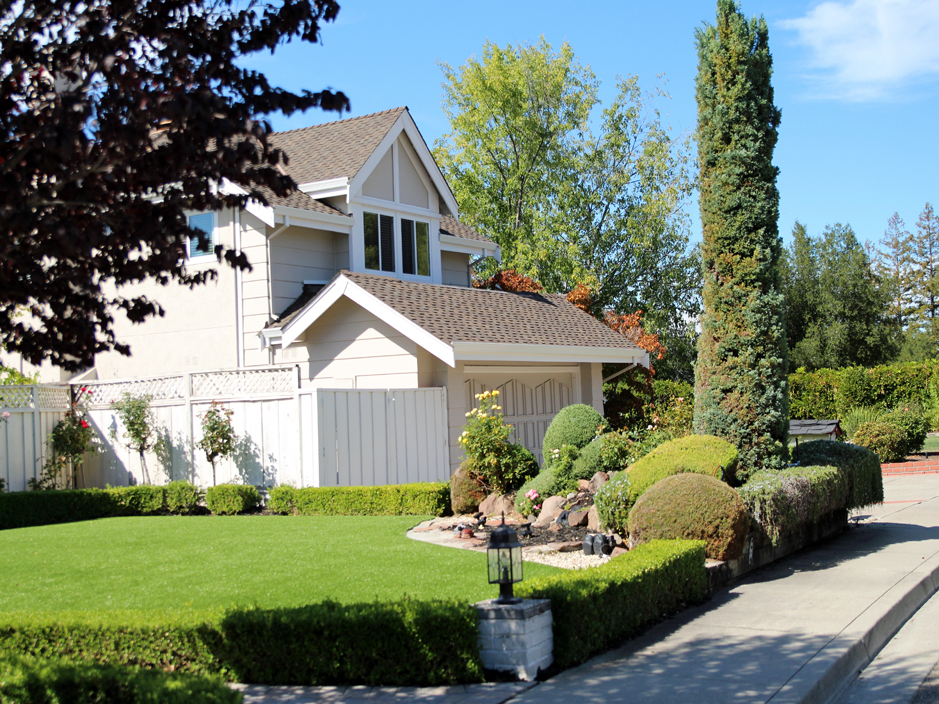 Fake Grass Lena, Wisconsin Garden Ideas, Front Yard Design