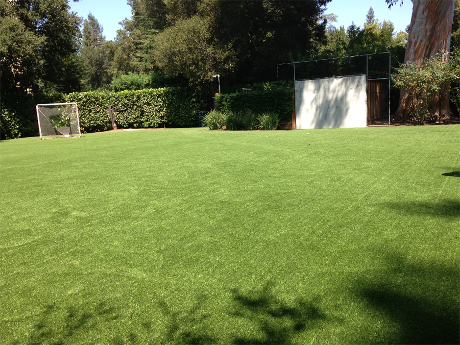 Fake Grass Pittsville Wisconsin Football Field Backyard