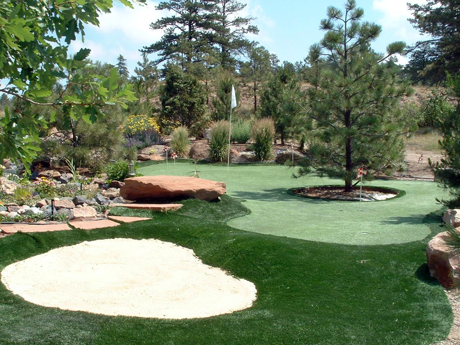 Fake Turf Collins, Wisconsin Putting Greens, Backyard