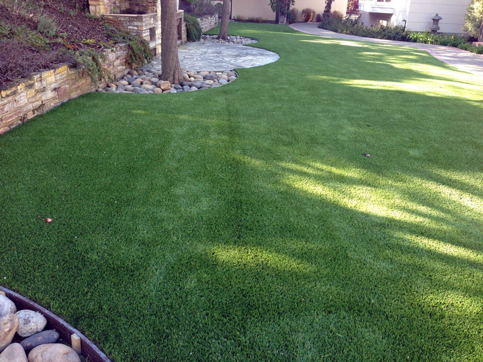 Faux Grass New Berlin Wisconsin Dog Hospital Backyard Makeover