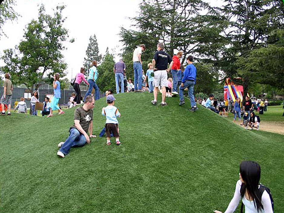 Grass Carpet Cobb, Wisconsin Roof Top, Parks