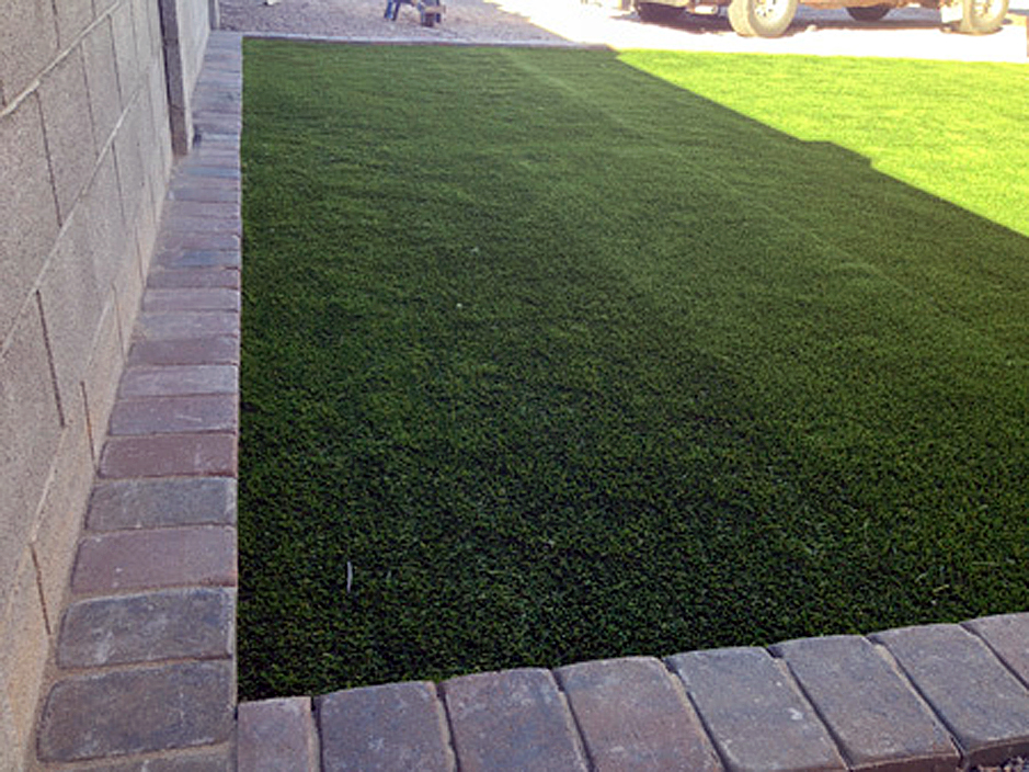 Grass Carpet De Forest, Wisconsin Rooftop, Front Yard Design