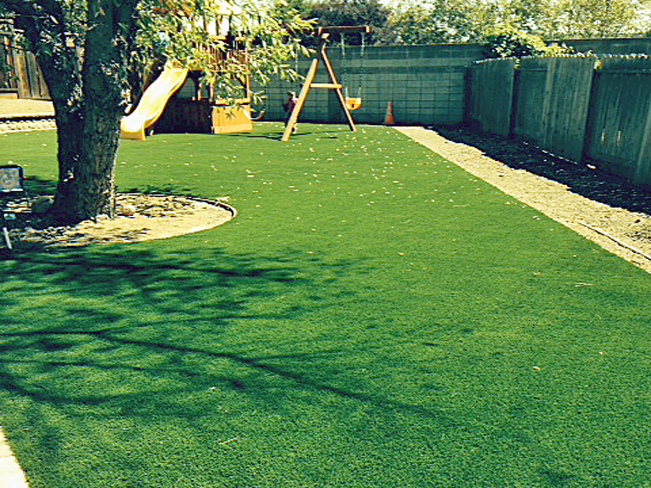 Grass Carpet Howard, Wisconsin Landscaping Business, Backyard Landscaping