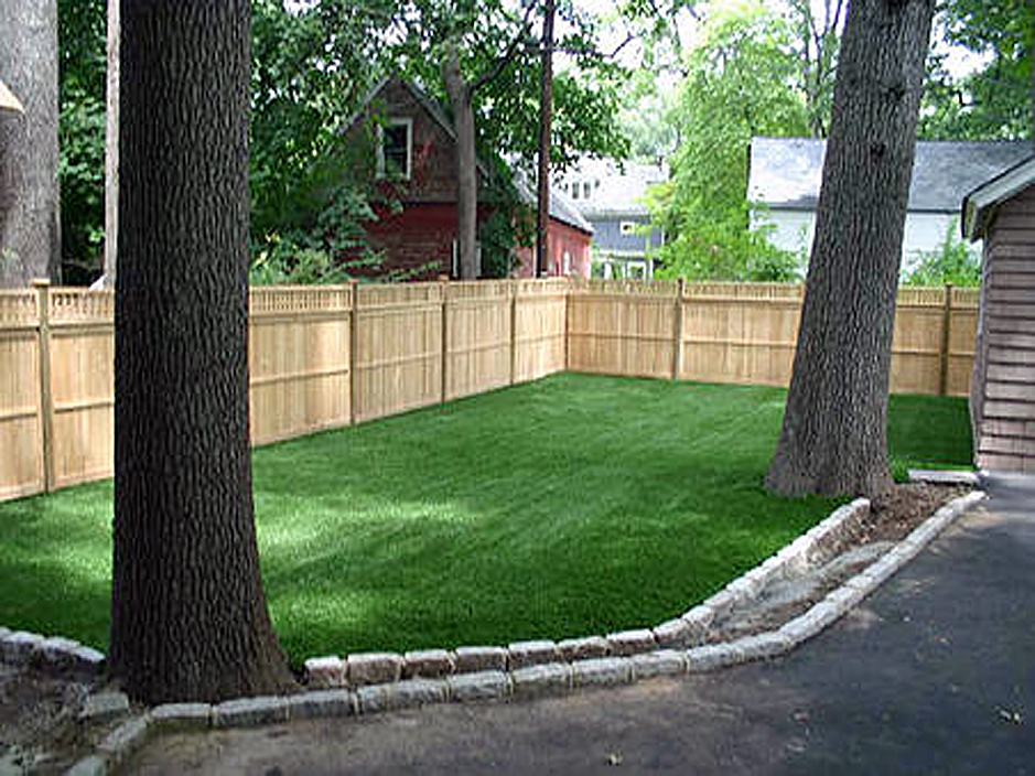 Grass Carpet Navarino, Wisconsin Grass For Dogs, Backyard