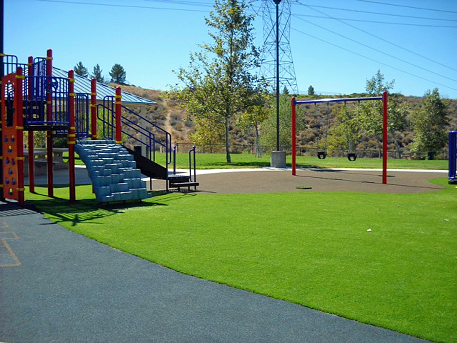 Grass Turf Cedar Grove, Wisconsin Lawns, Parks