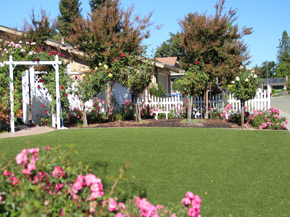 Grass Turf Franklin, Wisconsin Garden Ideas, Front Yard