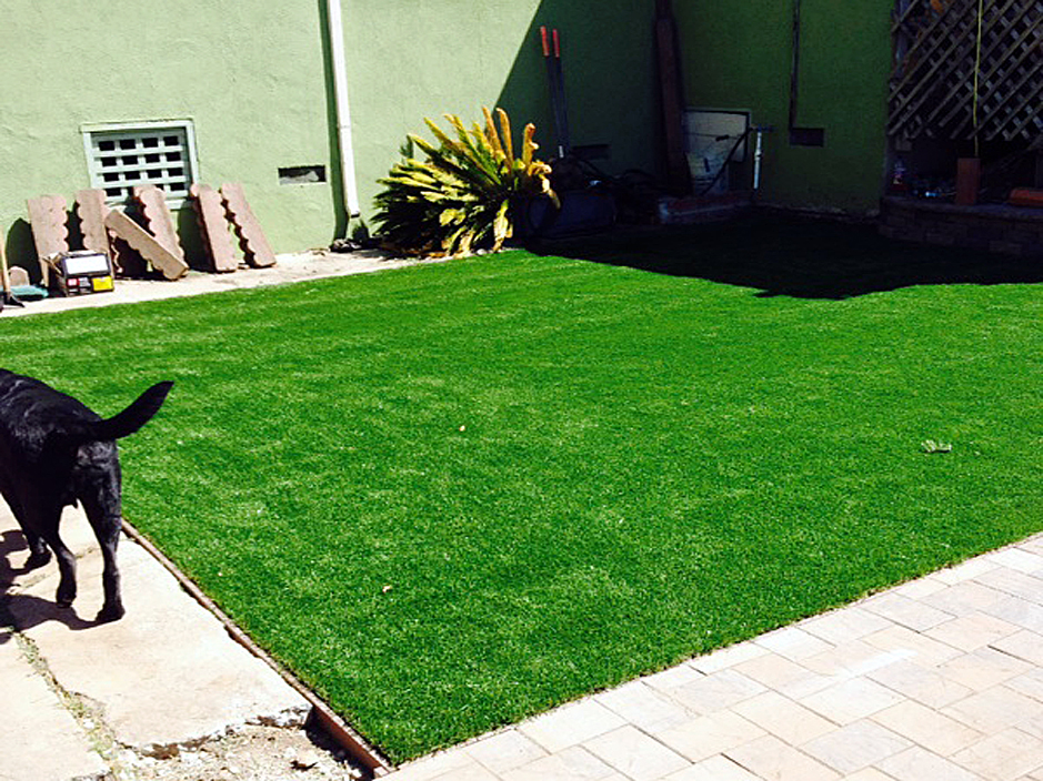 Lawn Services Sextonville, Wisconsin Lawns, Dogs Runs