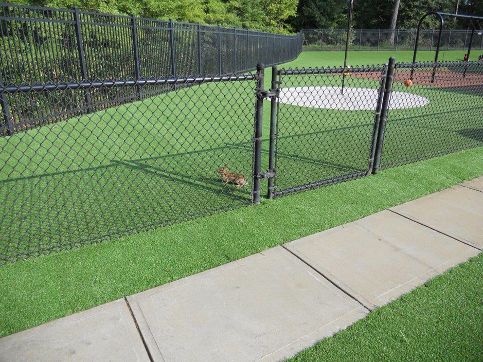Lawn Services Windsor, Wisconsin Landscaping Business, Recreational Areas
