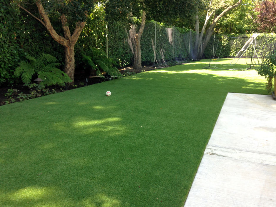 Outdoor Carpet Bell Center, Wisconsin Artificial Grass For Dogs