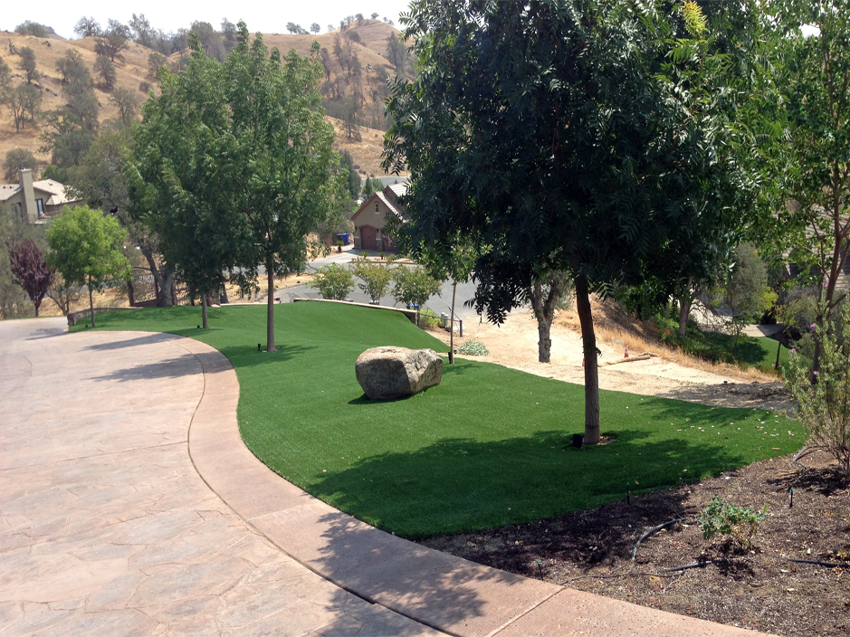 Outdoor Carpet Rockdale, Wisconsin Landscaping Business, Front Yard Landscaping