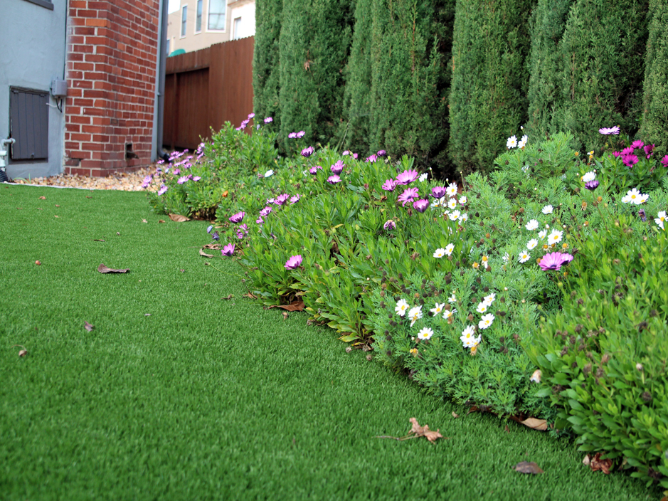 Synthetic Grass Cost Footville, Wisconsin Landscape Design, Front Yard