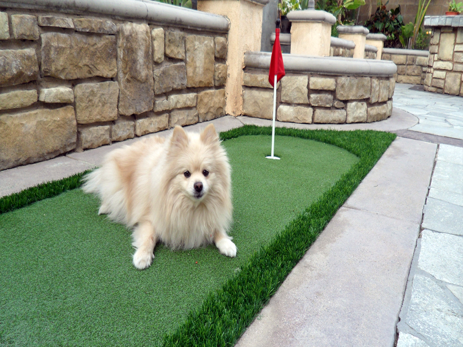 Synthetic Grass Cost Juda, Wisconsin Design Ideas, Backyard Designs