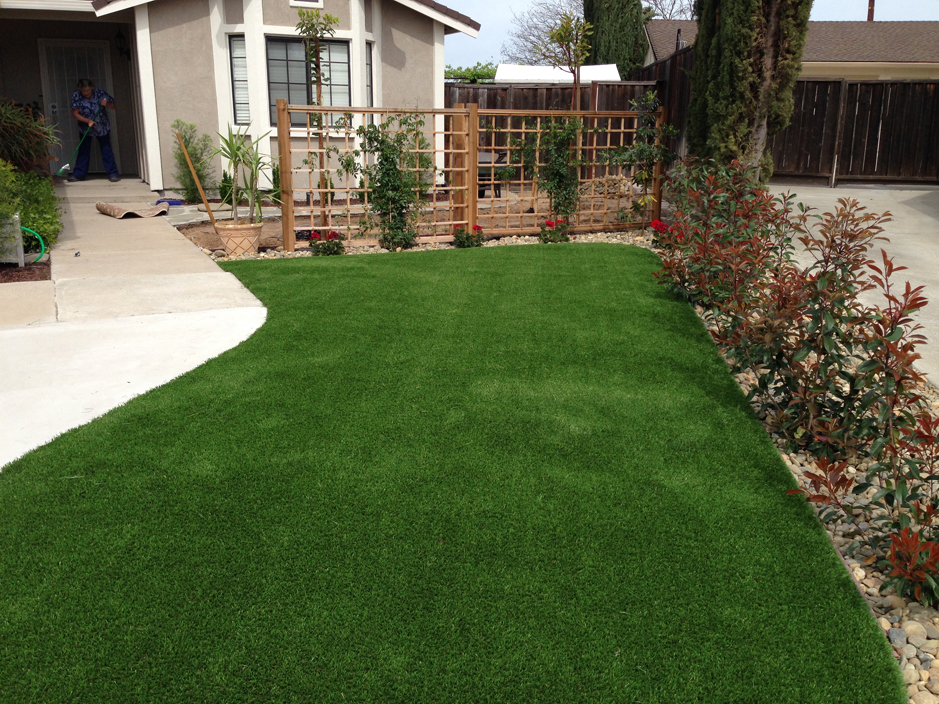 Synthetic Grass West Baraboo, Wisconsin Lawn And Landscape, Front Yard Ideas