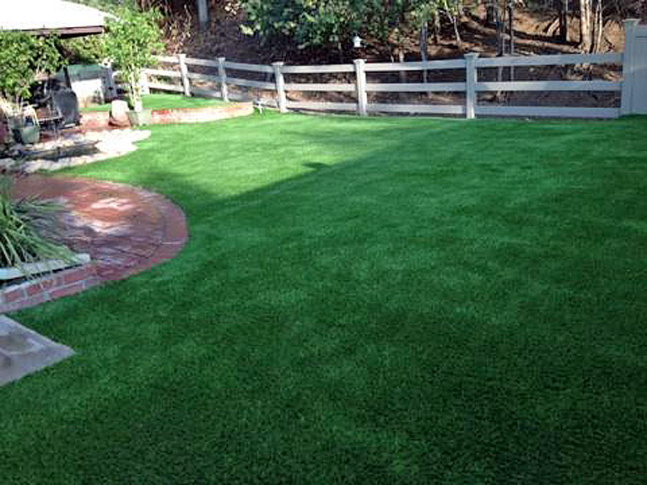 Synthetic Lawn Theresa Wisconsin Artificial Turf For Dogs Backyards