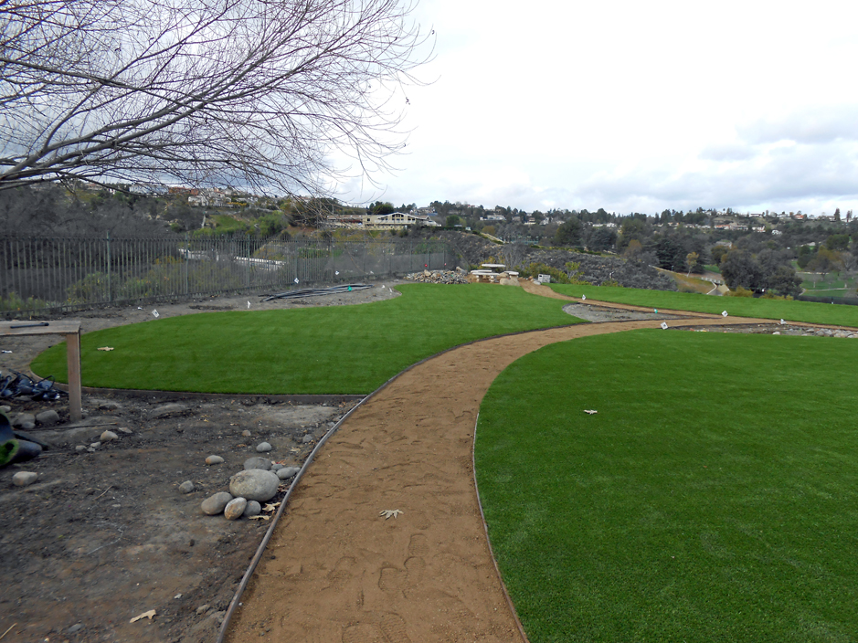 Synthetic Turf Lohrville, Wisconsin Landscaping