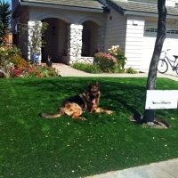 Artificial Grass Carpet Jackson, Wisconsin Design Ideas, Grass for Dogs