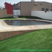 Artificial Turf Brookfield, Wisconsin Gardeners, Natural Swimming Pools