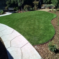 Artificial Turf Cost Cross Plains, Wisconsin Landscape Design, Front Yard