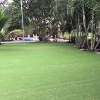 Artificial Turf Cost Ridgeway, Wisconsin Garden Ideas, Commercial Landscape