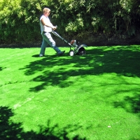 Fake Grass Carpet Cashton, Wisconsin Lawn And Landscape, Backyard