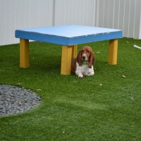 Grass Installation Casco, Wisconsin Cat Playground, Dogs Runs