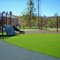 Grass Turf Cedar Grove, Wisconsin Lawns, Parks