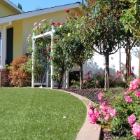 Outdoor Carpet Tigerton, Wisconsin Lawn And Garden, Front Yard