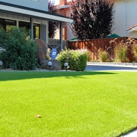 Plastic Grass Junction City, Wisconsin Design Ideas, Front Yard Ideas
