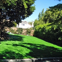 Synthetic Grass Browns Lake, Wisconsin Rooftop, Backyard Ideas
