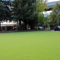 Synthetic Grass Cost Park Ridge, Wisconsin Landscaping, Commercial Landscape