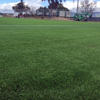 Turf Grass Princeton, Wisconsin Sports Athority