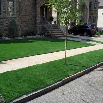Artificial Grass Berlin, Wisconsin Design Ideas, Front Yard Landscape Ideas