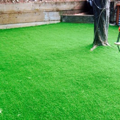 Artificial Grass Carpet Algoma, Wisconsin Upper Playground, Backyard Designs