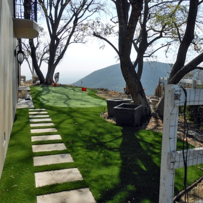 Artificial Grass Carpet Biron, Wisconsin Rooftop, Backyard Landscape Ideas