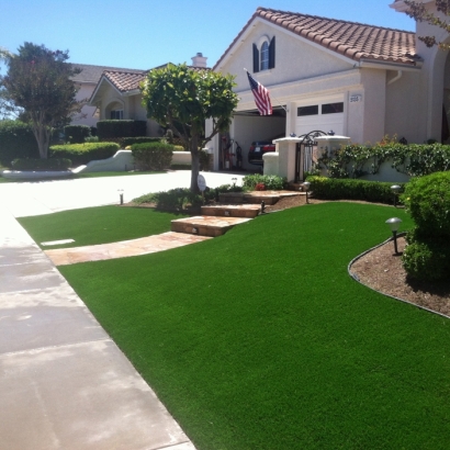 Artificial Grass Carpet Cambria, Wisconsin Paver Patio, Front Yard Design