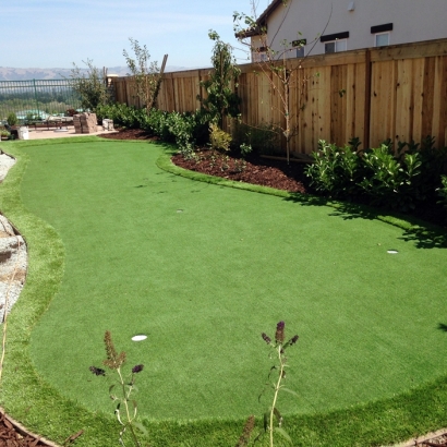 Artificial Grass Carpet Edmund, Wisconsin Putting Green Flags, Backyard