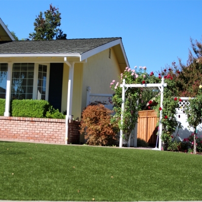 Artificial Grass Carpet Necedah, Wisconsin Rooftop, Front Yard Landscaping