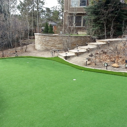 Artificial Grass Carpet Oregon, Wisconsin How To Build A Putting Green, Backyard Garden Ideas